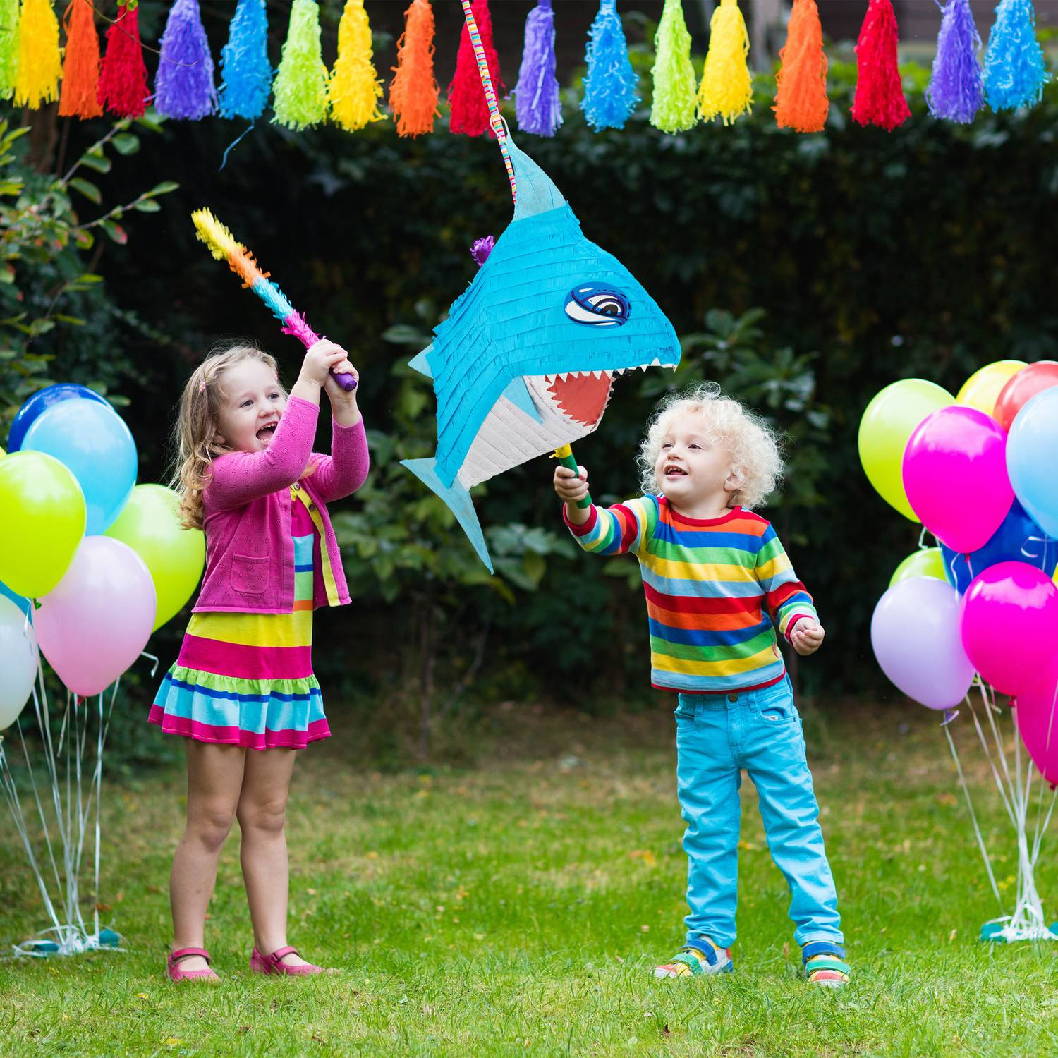 Žralok Pinata