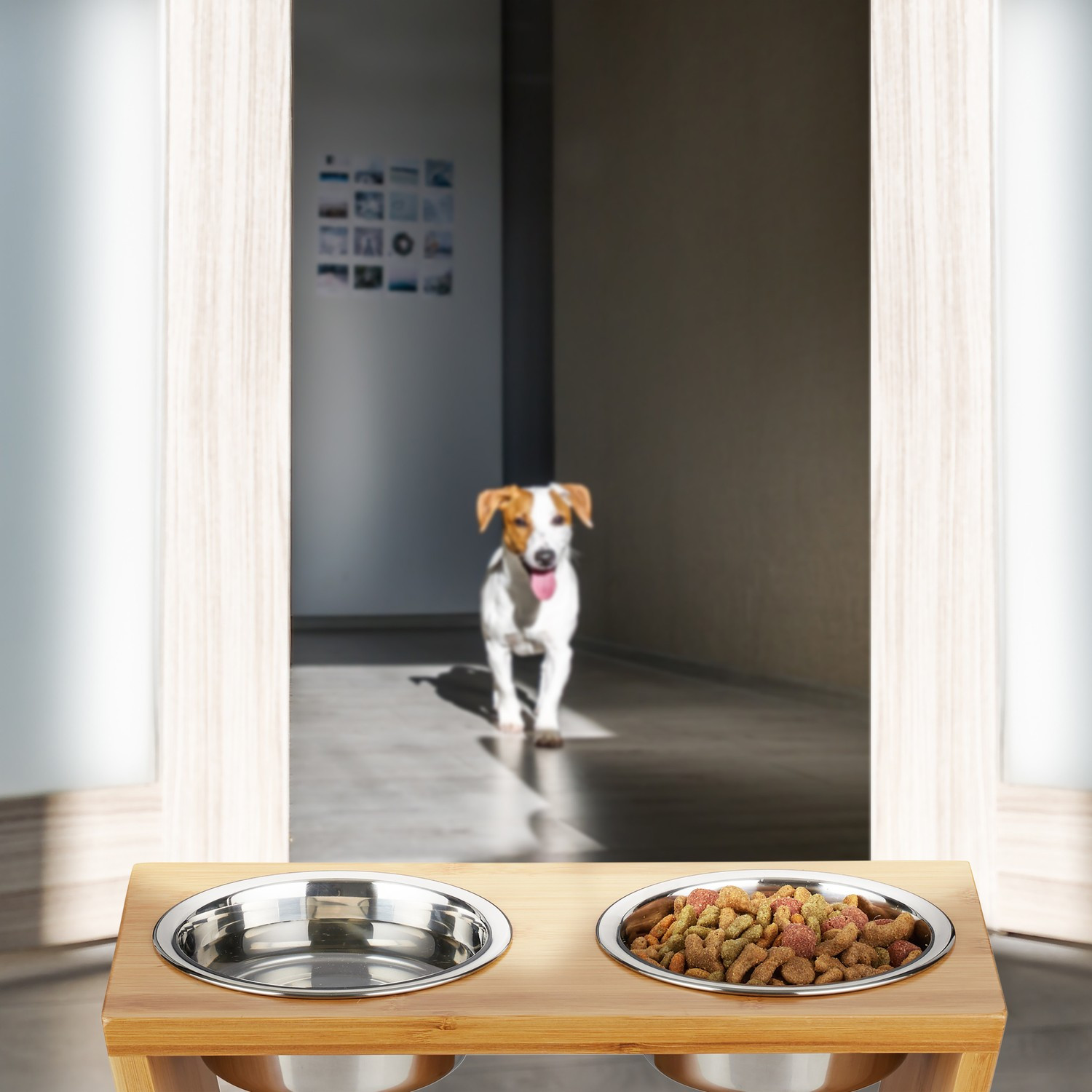 Gamelles pour chiens