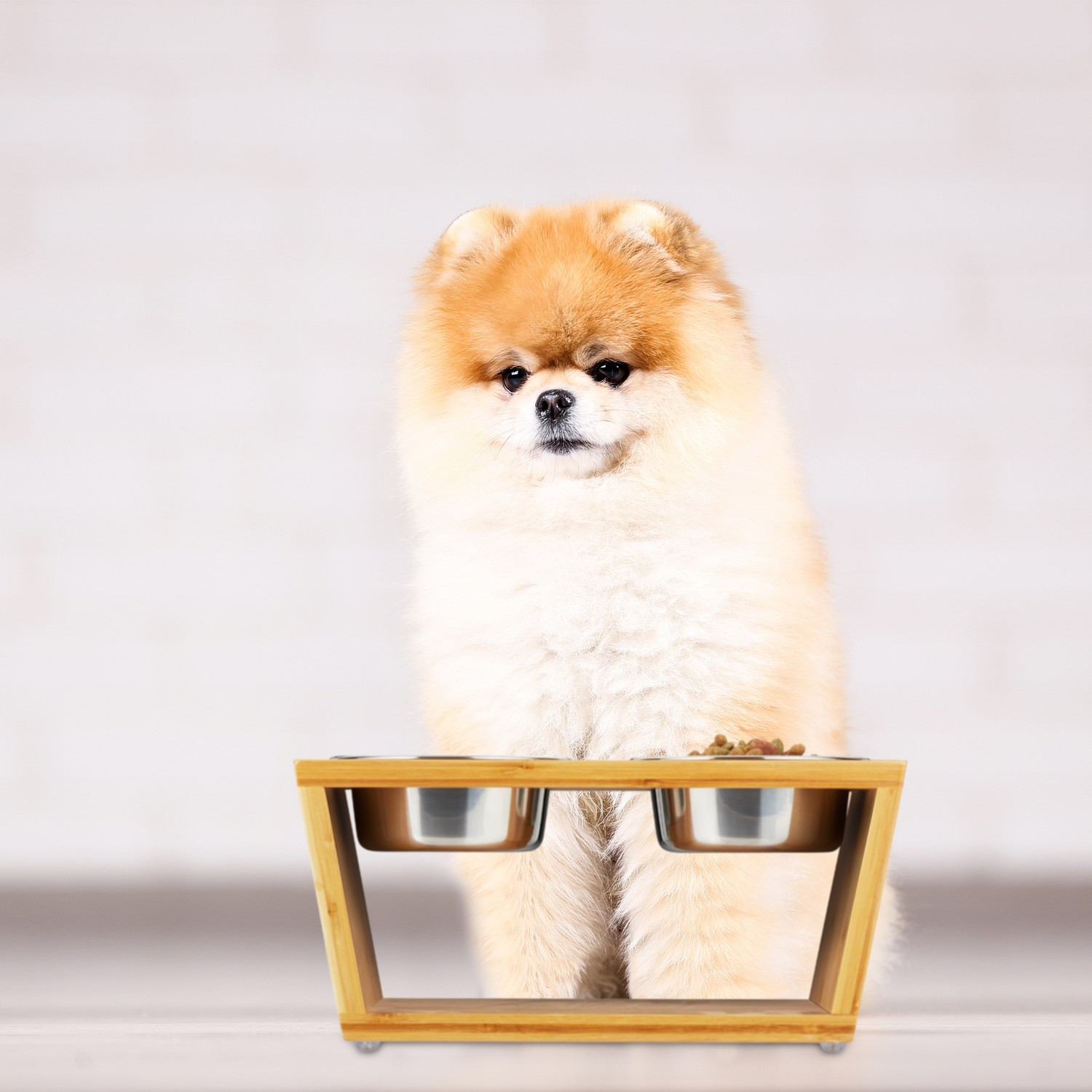 Comederos para perros