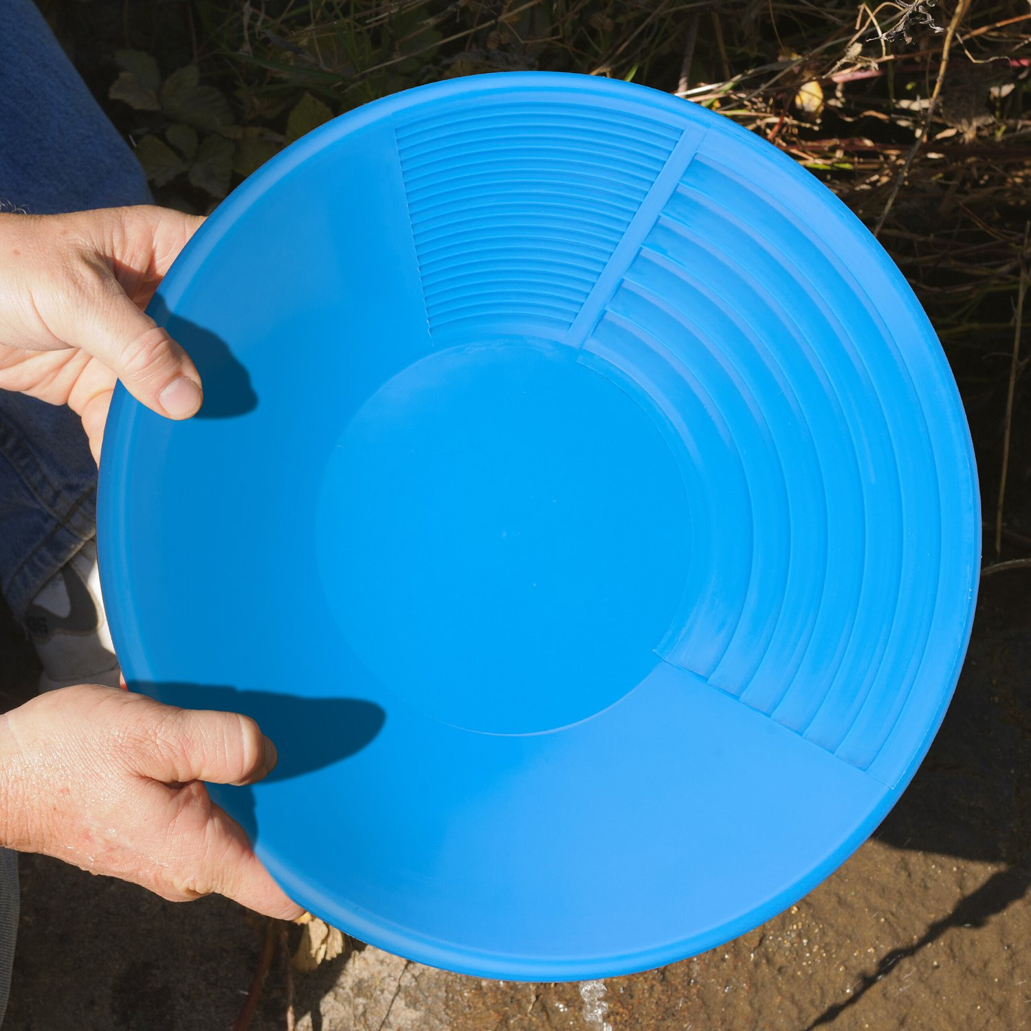 Blauwe goudvangerpan, 2-pack