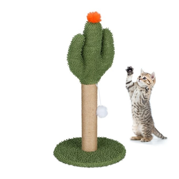 Cactus krabpaal