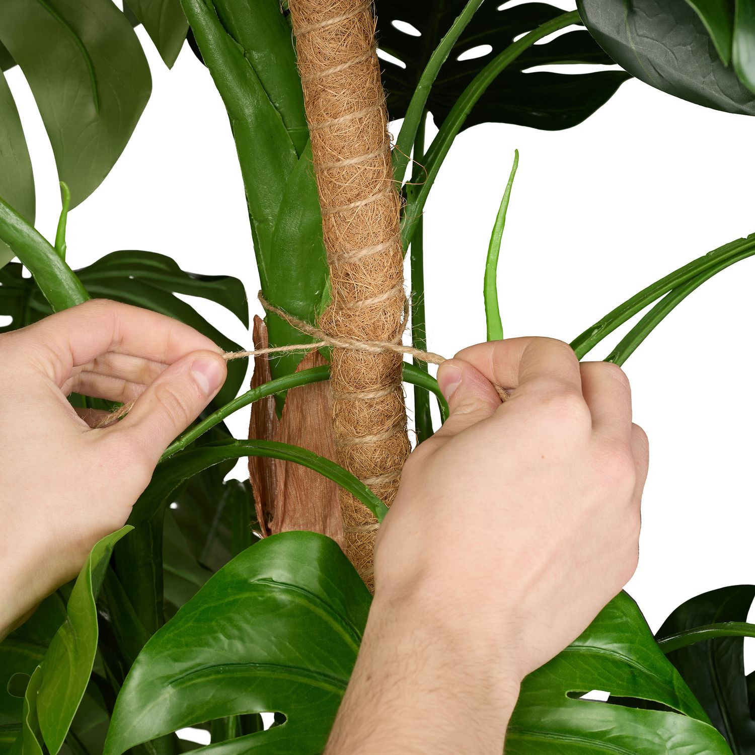 Barras de coco pack de 4 40 cm con accesorios