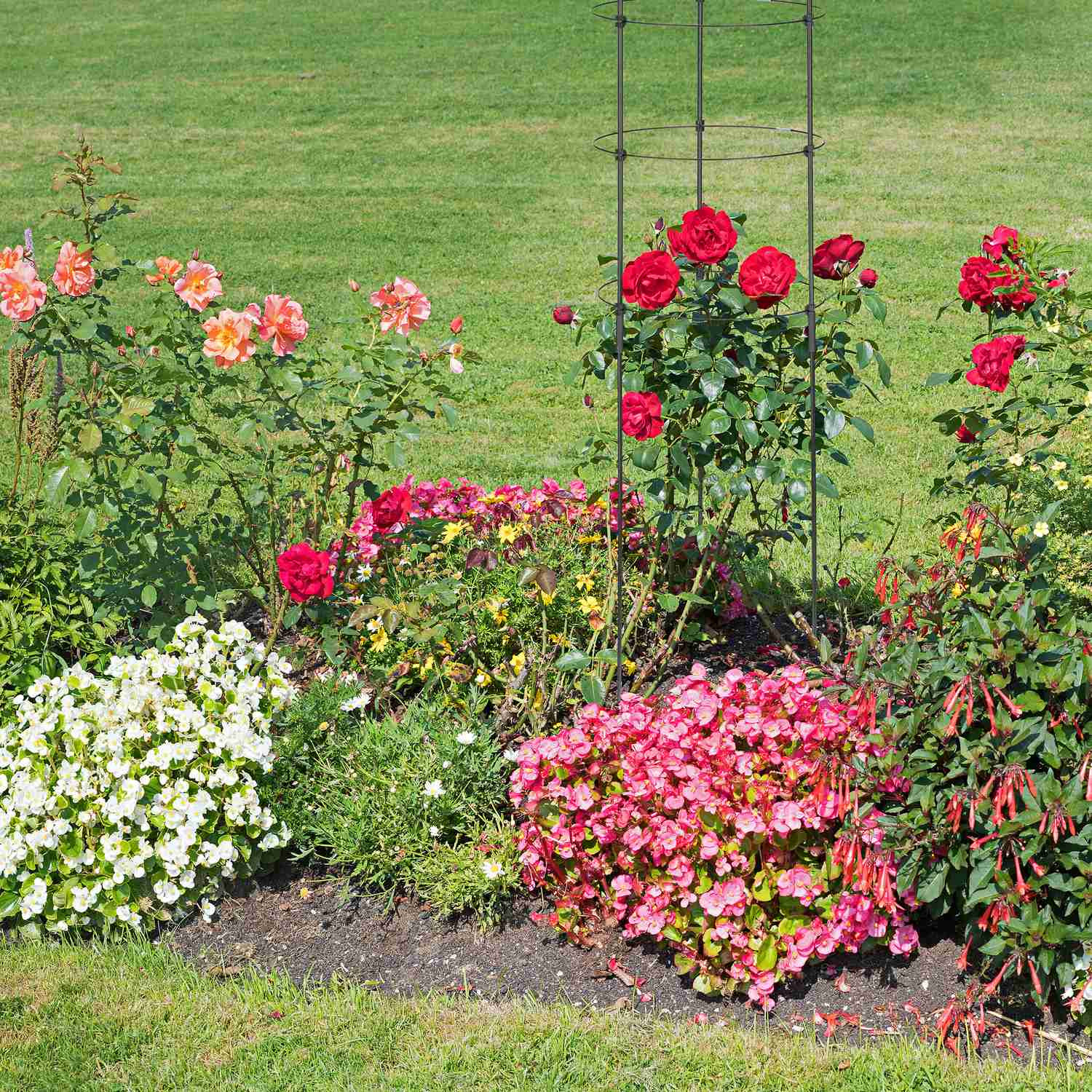 Trellis 120 cm set van 5