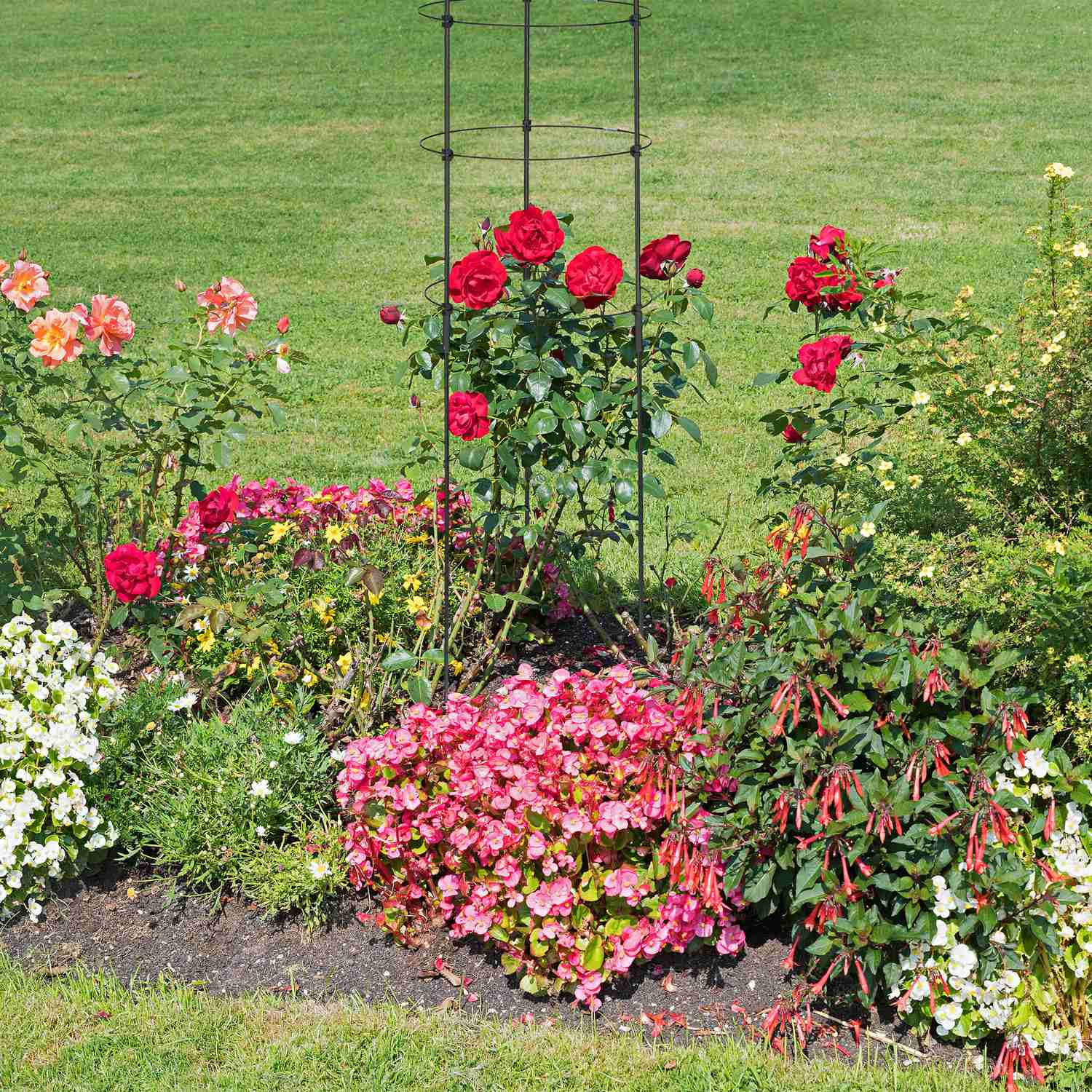 Trellis 150 cm set van 3