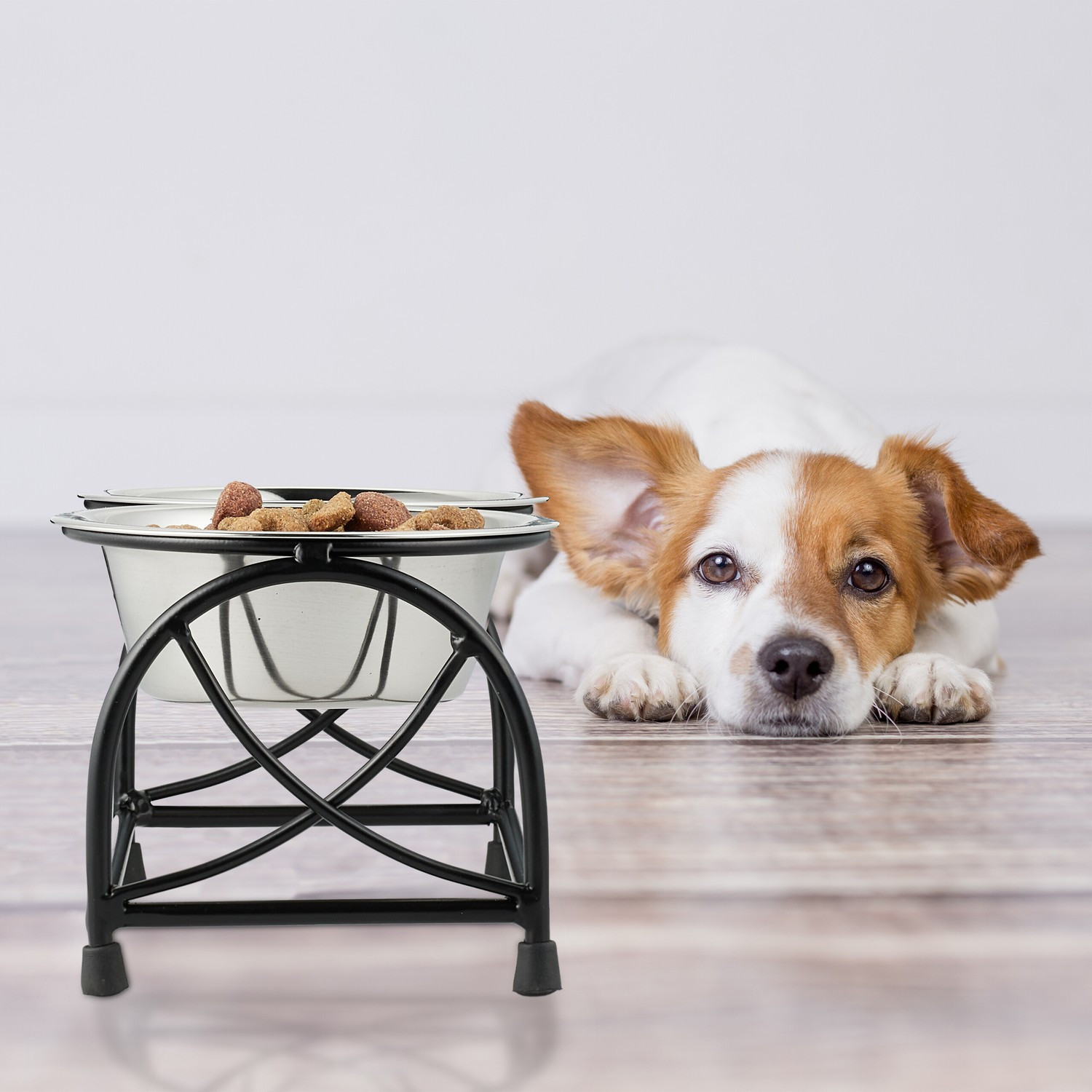 Futterstation für Hunde