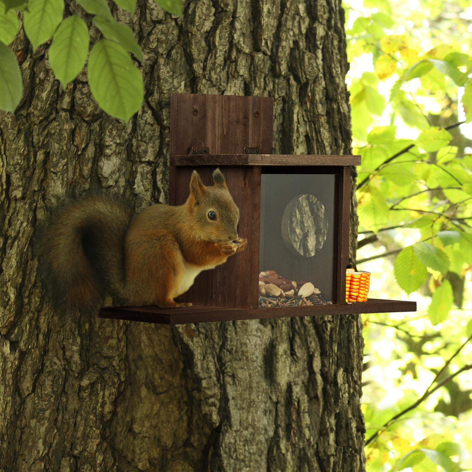 Eichhörnchenfutterautomat mit 2 Eingängen