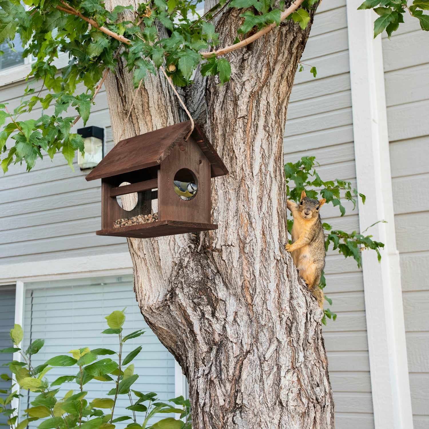 Vogelhäuschen aus Holz