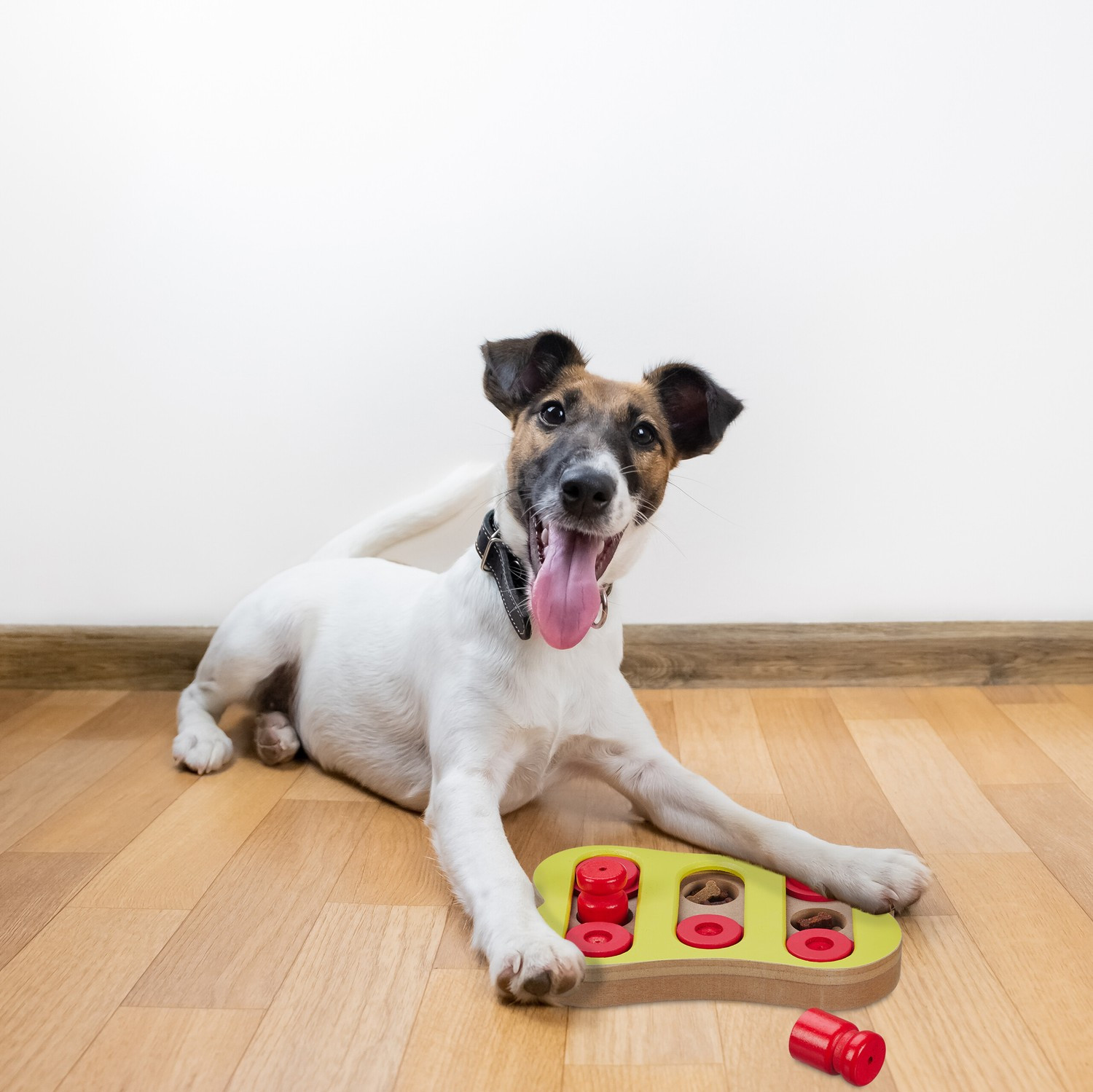 Juguetes inteligentes para perros