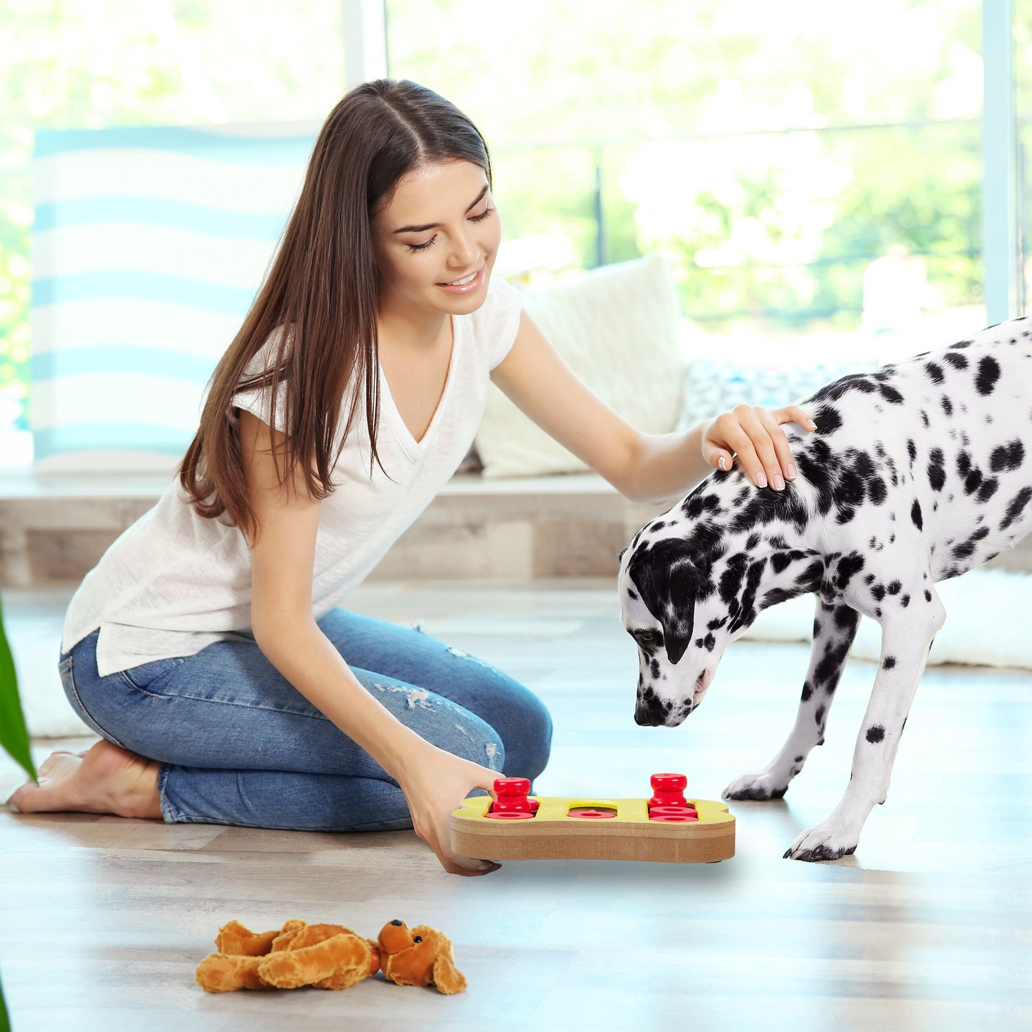 Brinquedos inteligentes para cães