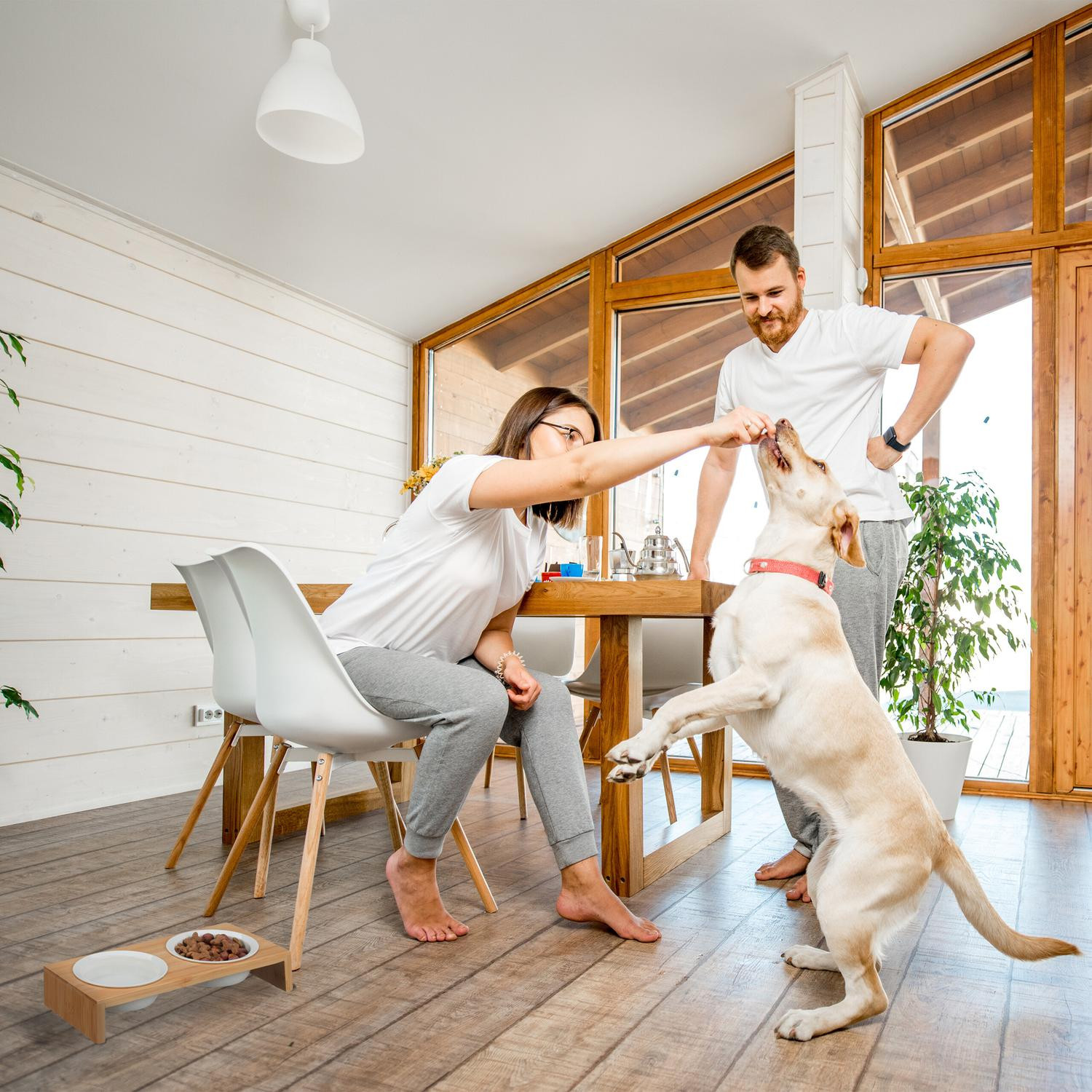 Futterstation für Hunde