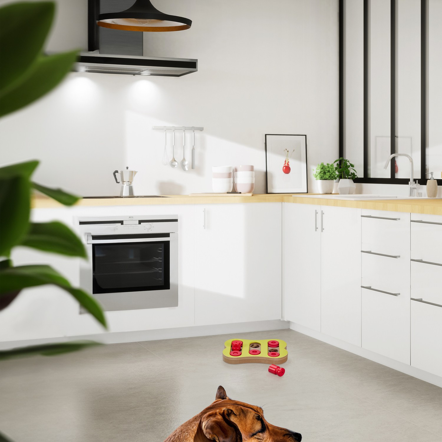 Brinquedos inteligentes para cães