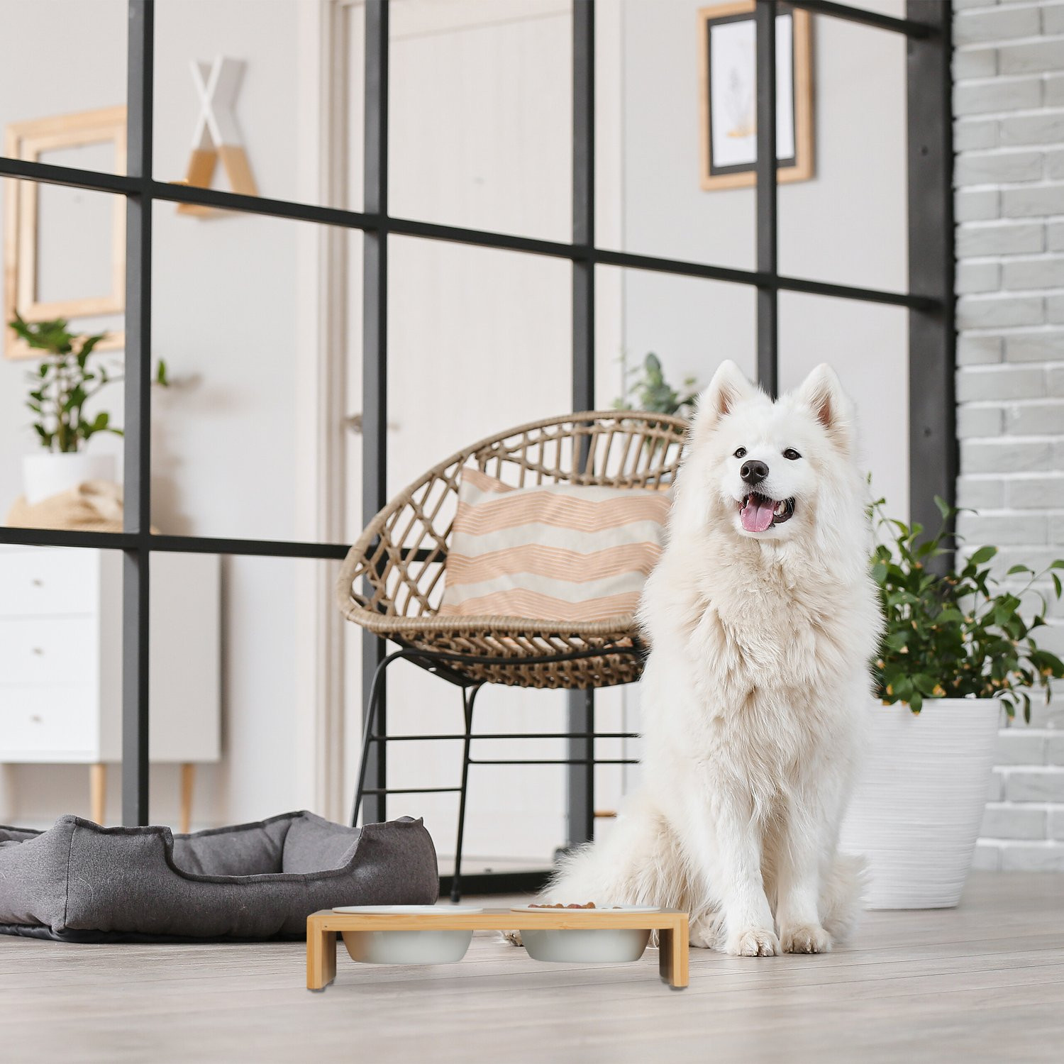 Futterstation für Hunde
