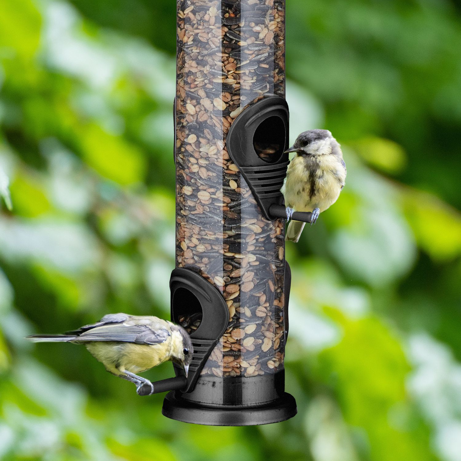 Hängendes Vogelhäuschen