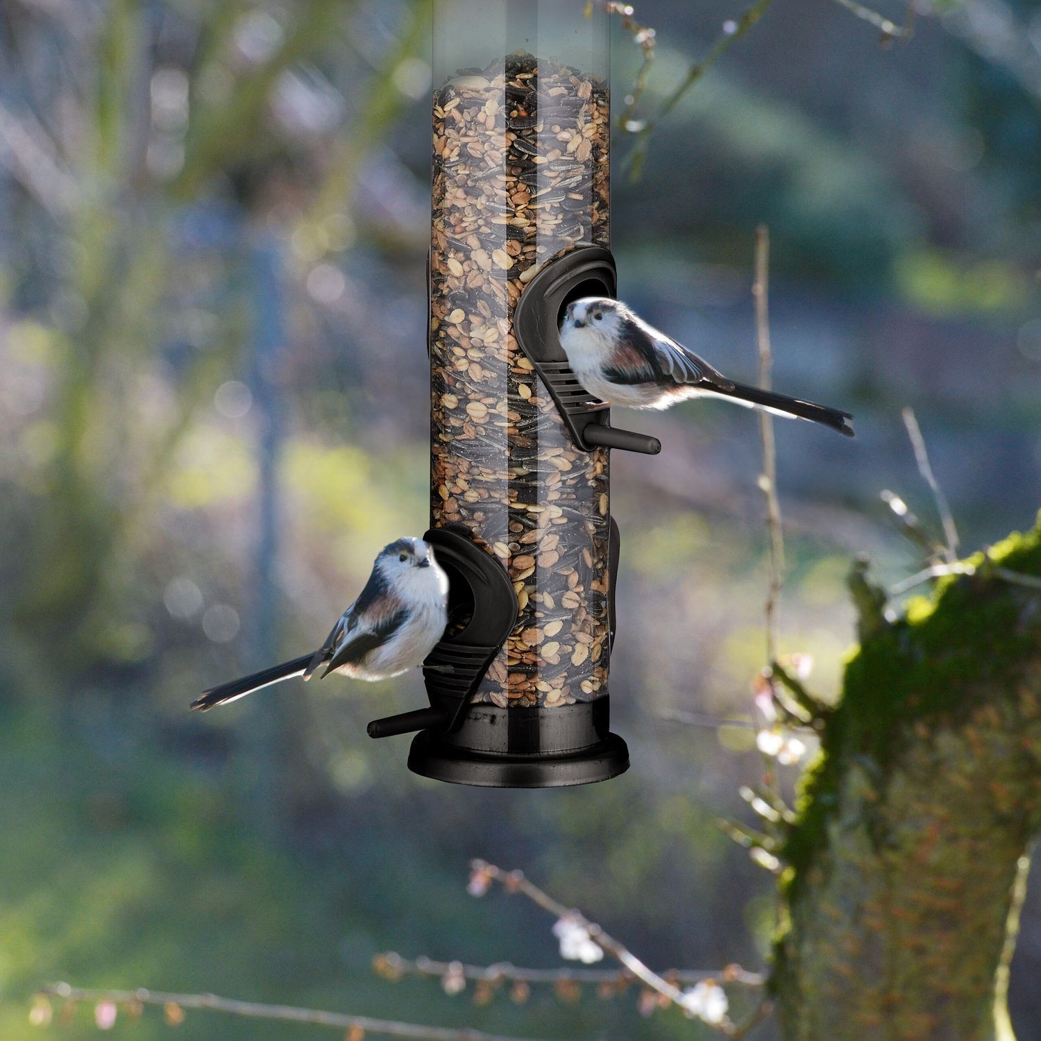 Mangeoire à oiseaux suspendue