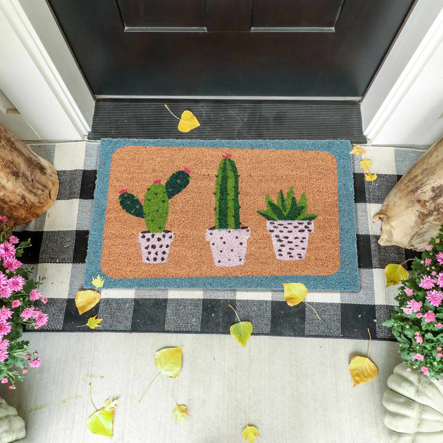 Coconut Doormat Cactus