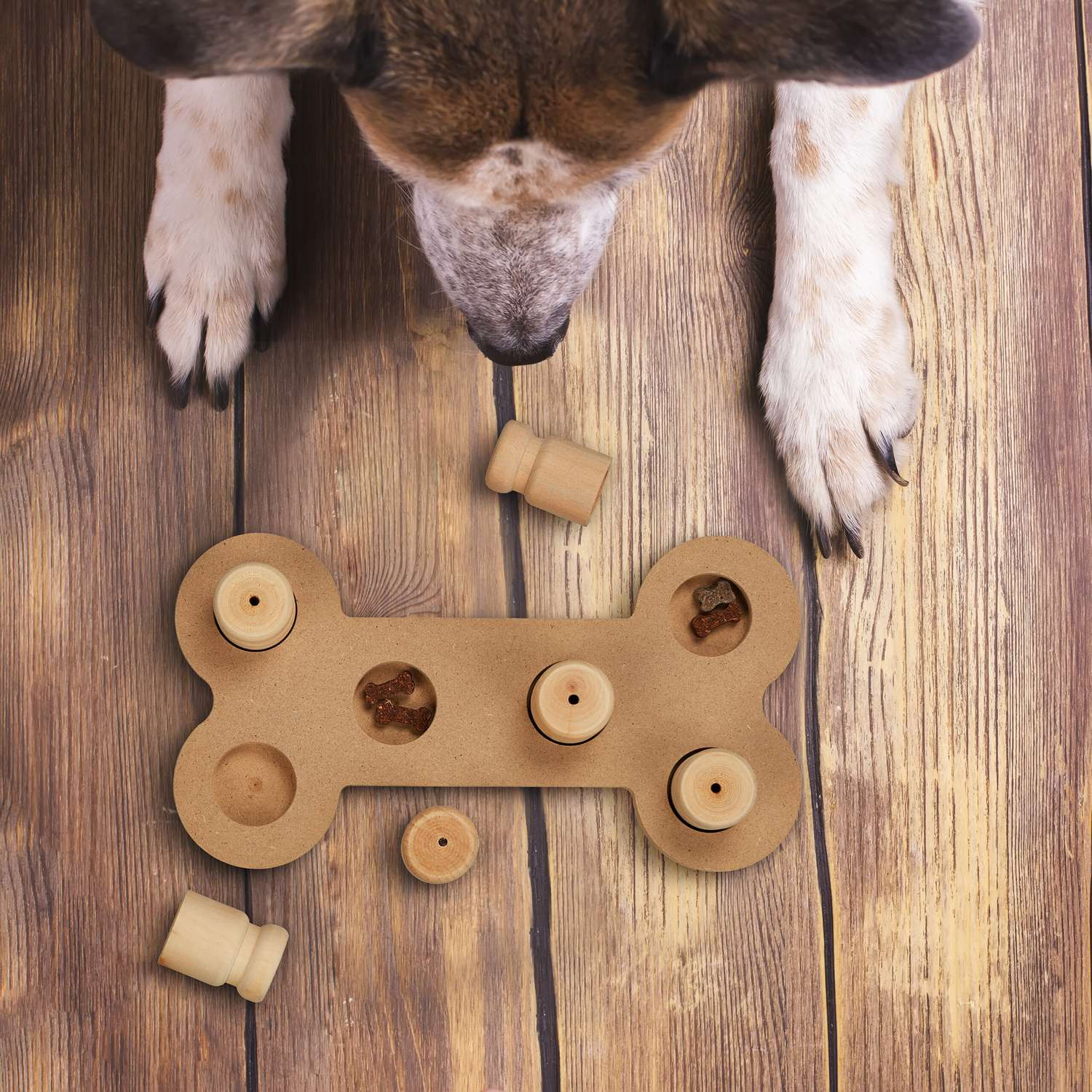 Giocattoli intelligenti per cani