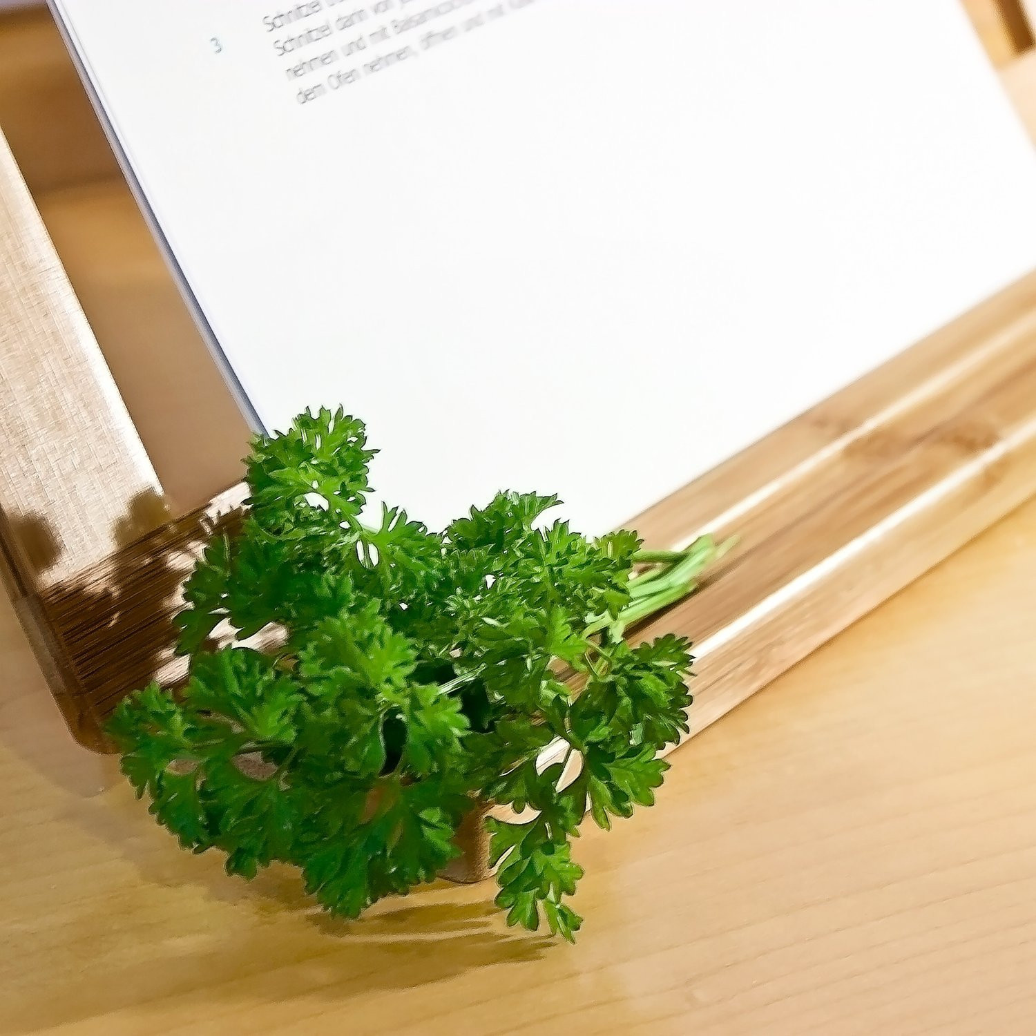 Estante em bambu