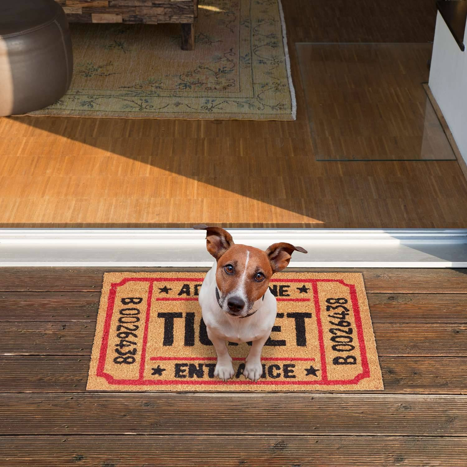 Fußmatte aus Kokosfaser