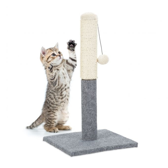 Planche à gratter pour chats