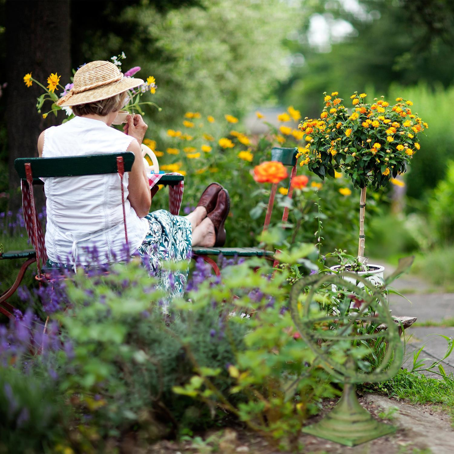 Zonnewijzertuin S