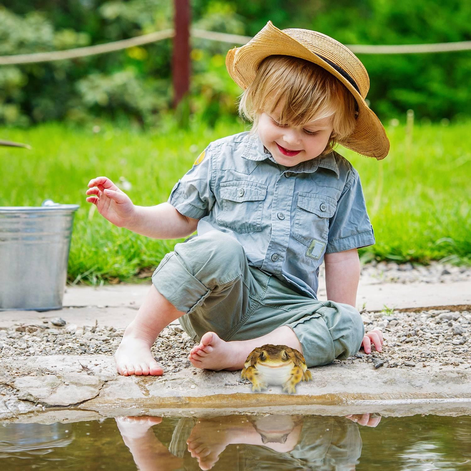 Garden Figure Frog Artificial Stone