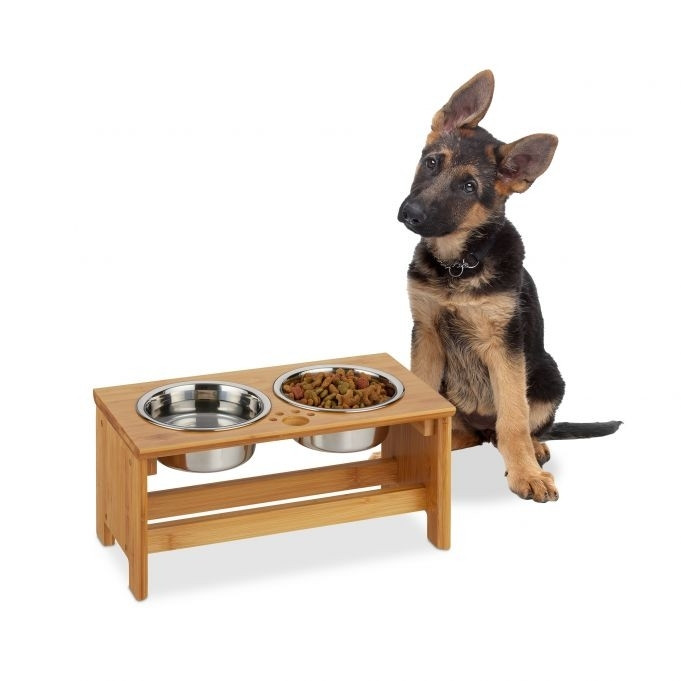 Comederos para perros