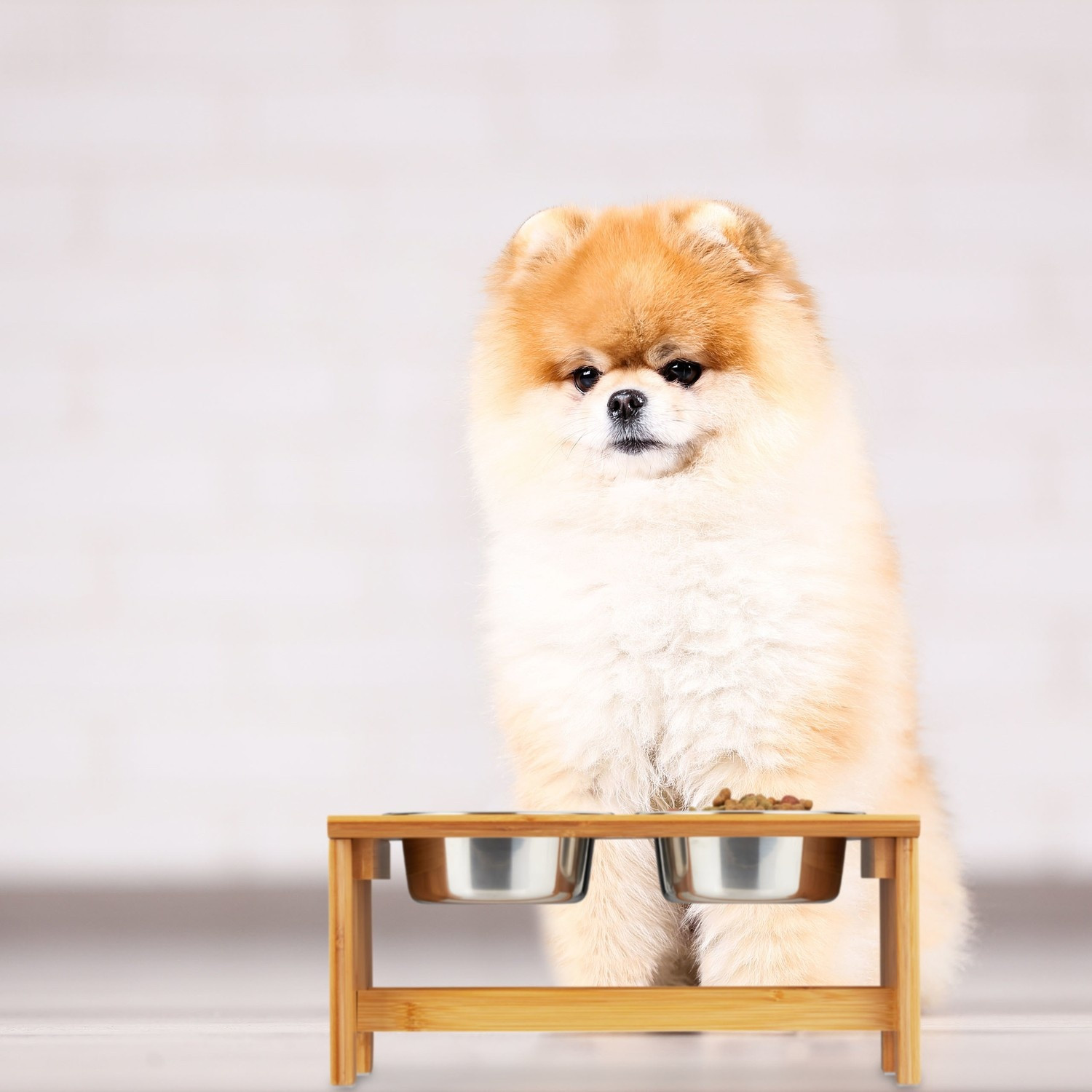 Gamelles pour chiens