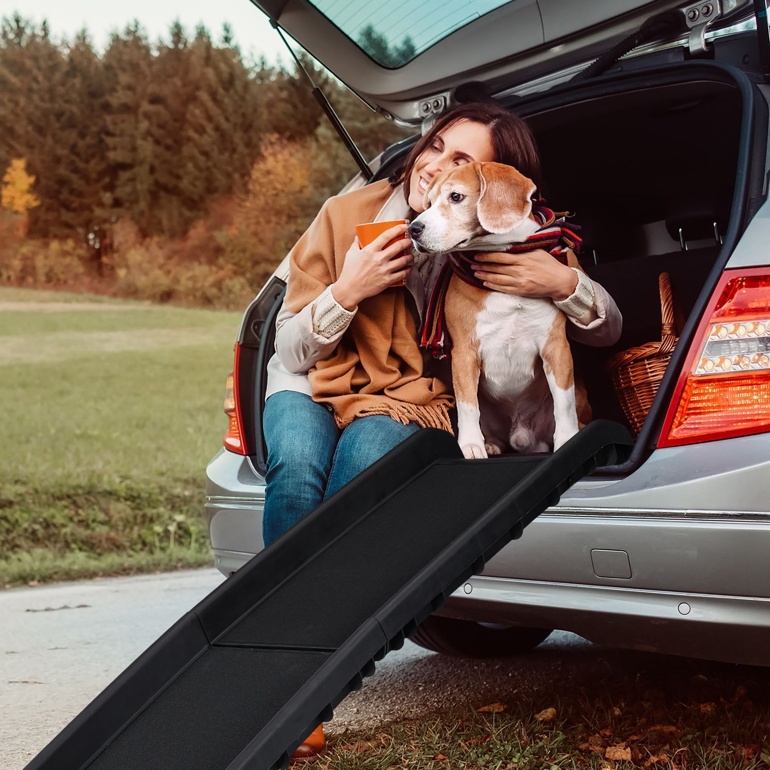 Hondenloopplank auto opvouwbaar