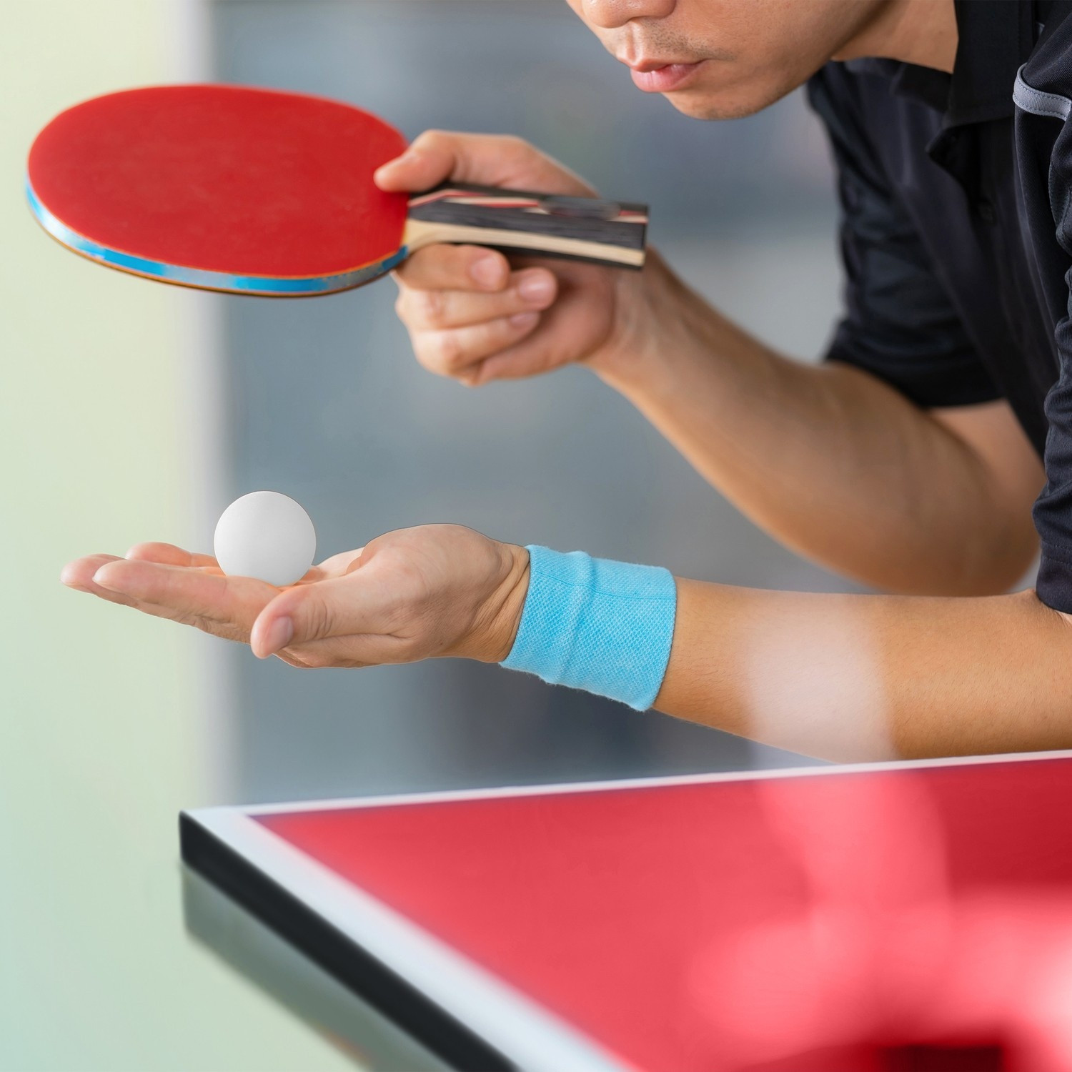 Table de ping-pong pliante avec accessoires
