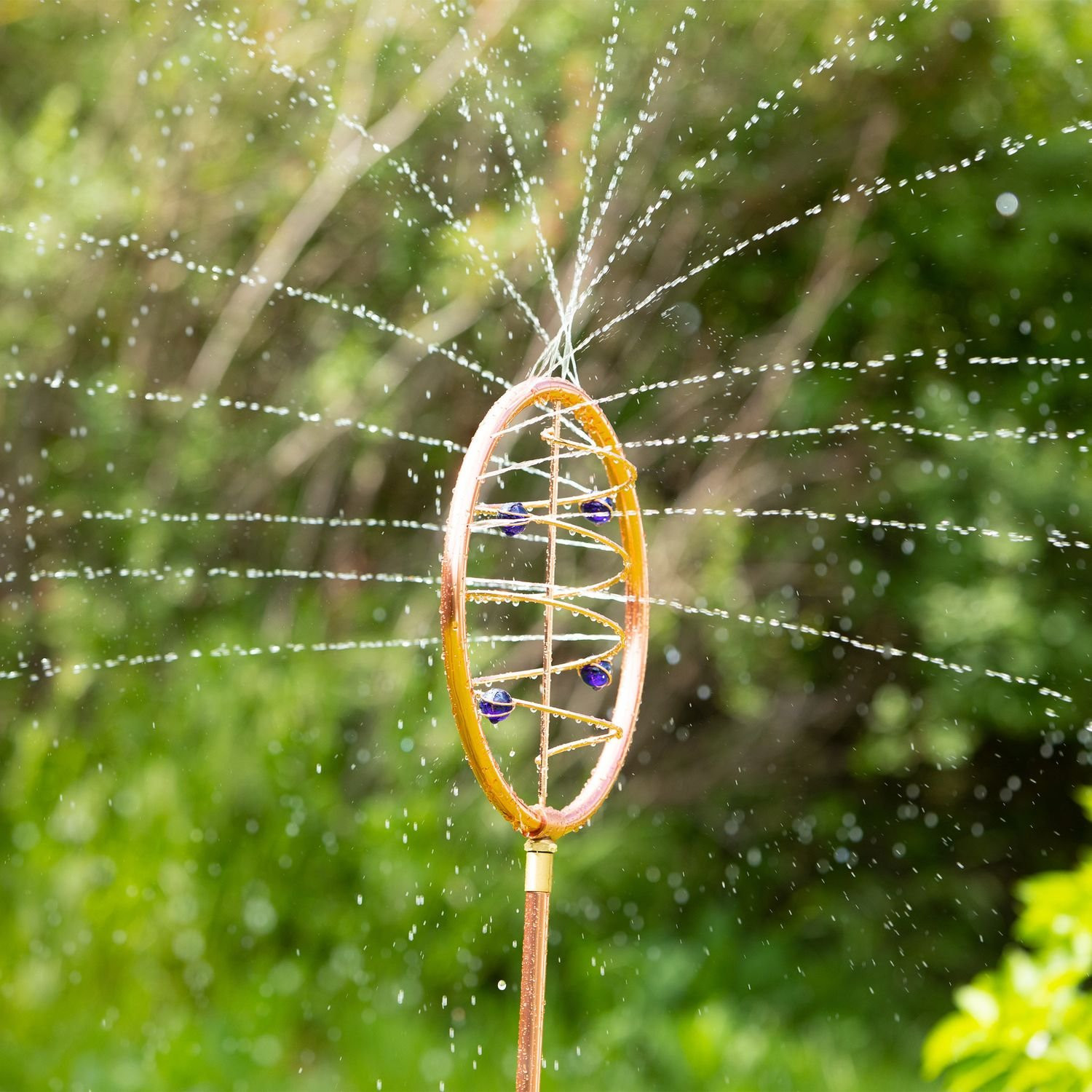 Jardin avec pièce d'eau