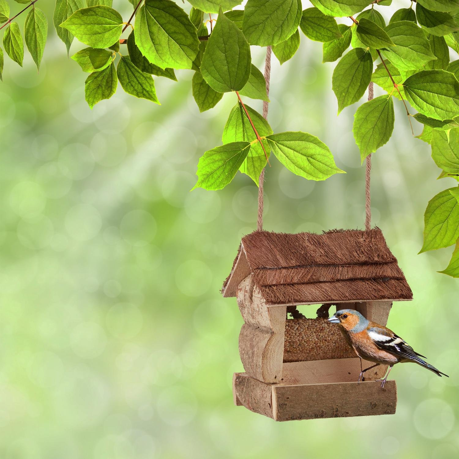 Hängendes Vogelhäuschen