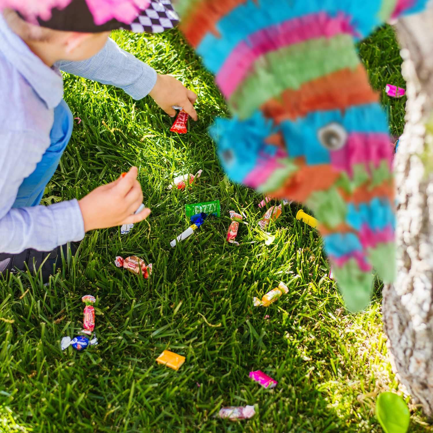 Piñata Esel bunt