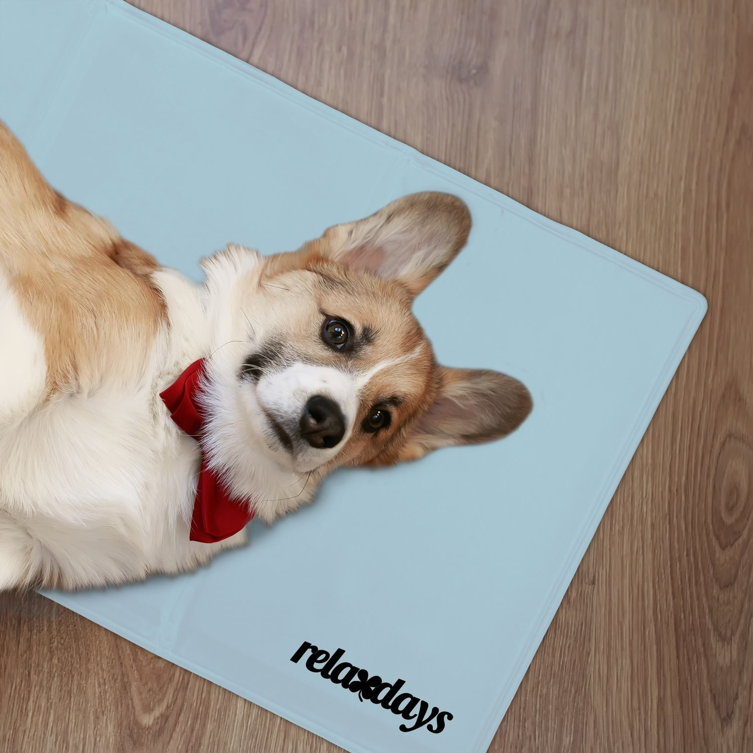 Cooling mat for dogs