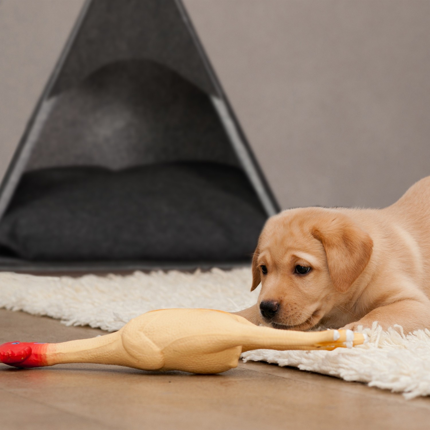 Cuccia per cani in feltro