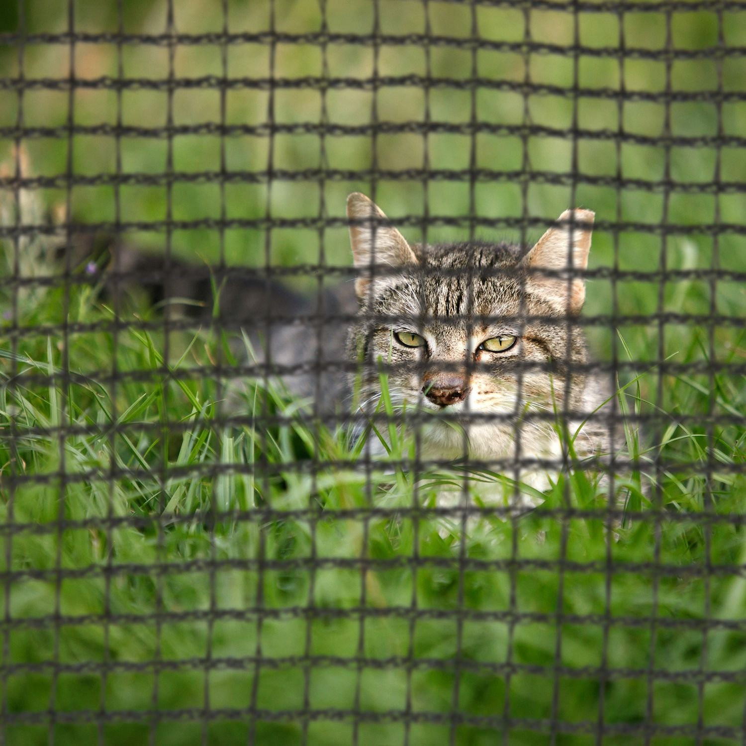 Veiligheidsnetstandaard trampoline