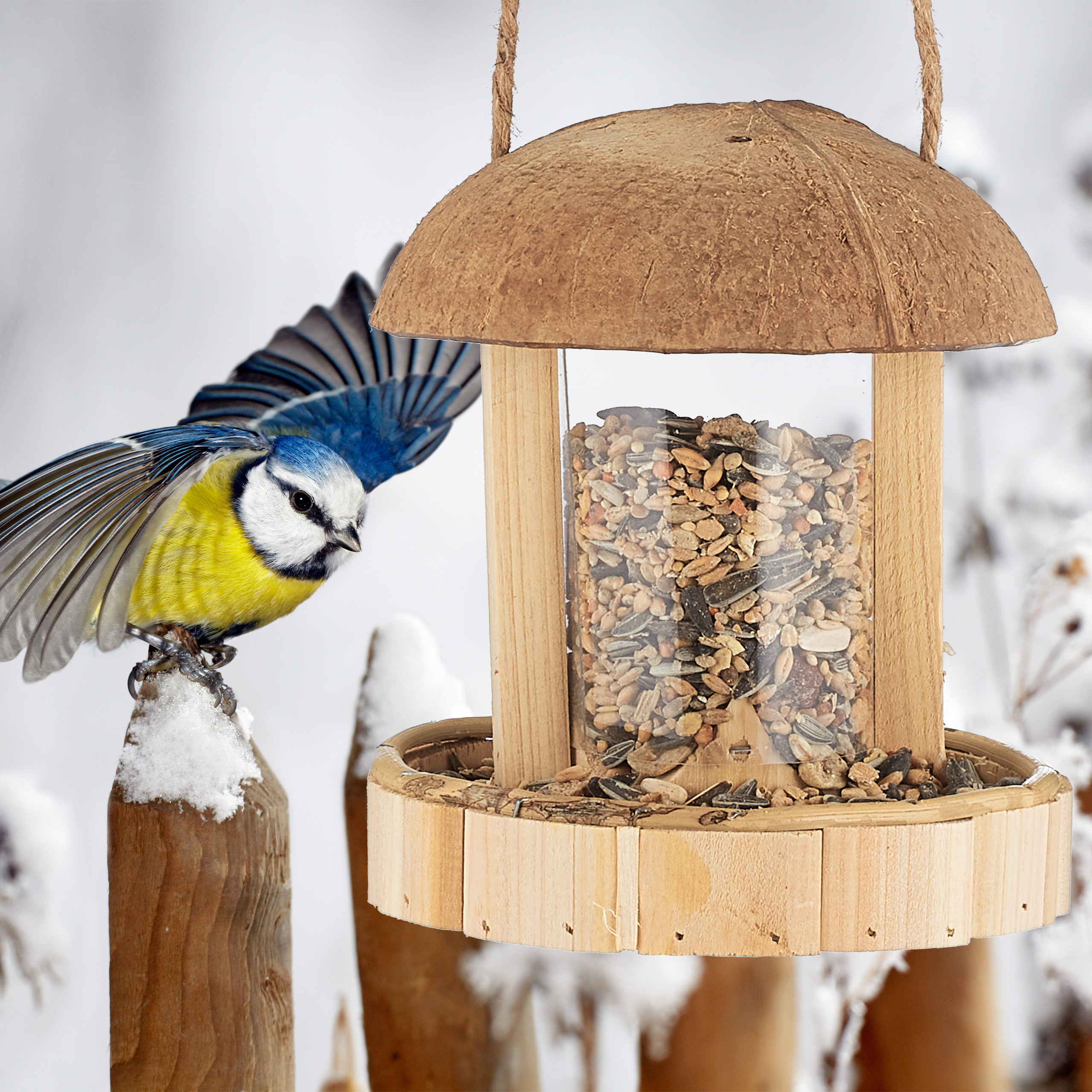 Hängendes Vogelhäuschen