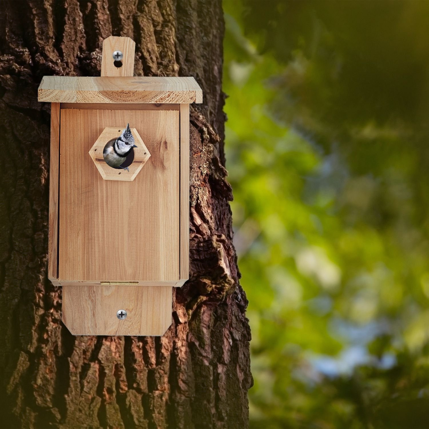 Vogelhuisje hout