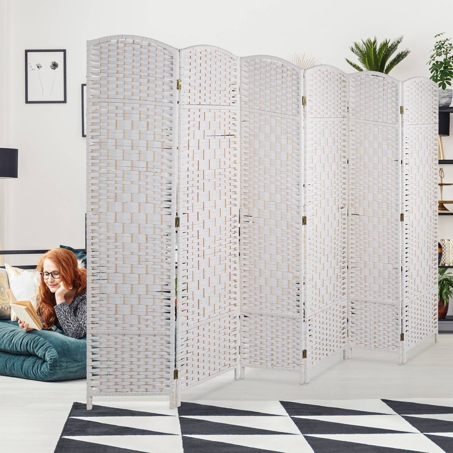 Mur écran à 6 panneaux
