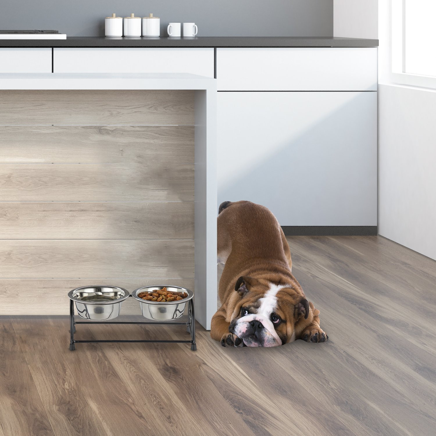 Set de gamelles pour chien avec support
