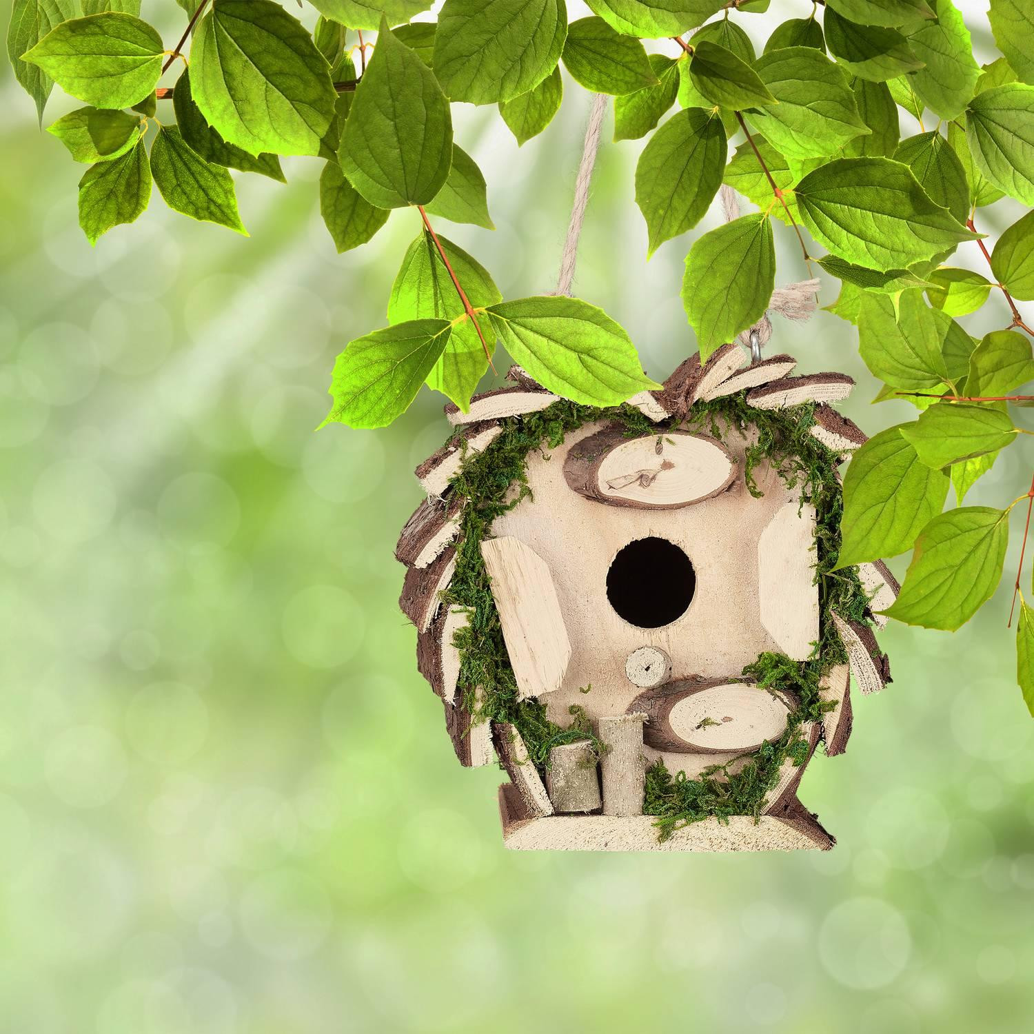 Zierkasten mit Moos