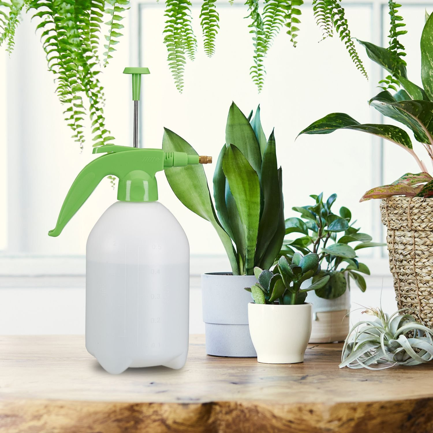 Drucksprüher 2 Liter grün