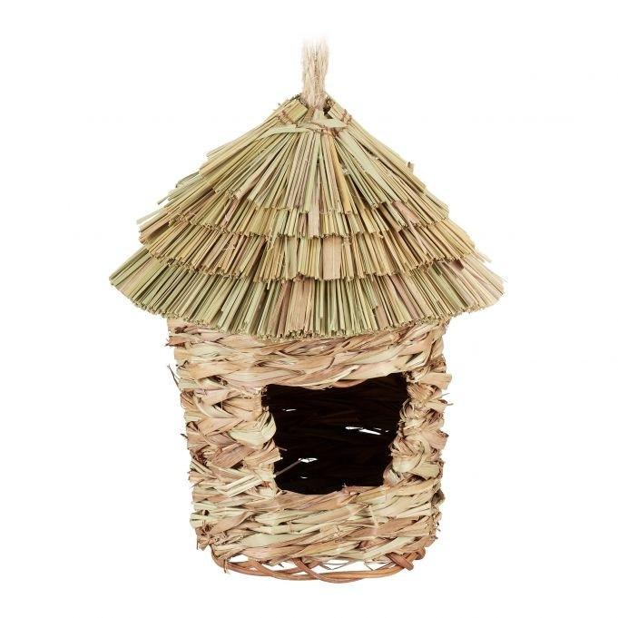 Spitzhutkäfig Vogelnest