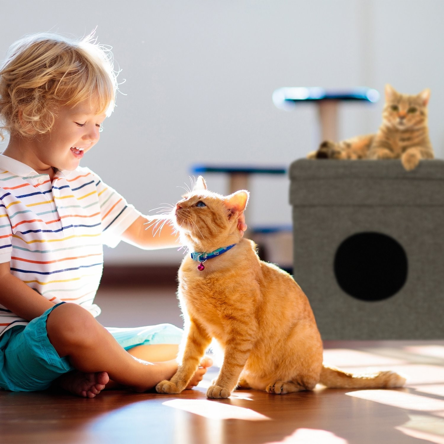 Cachette pour chat avec toit pliant