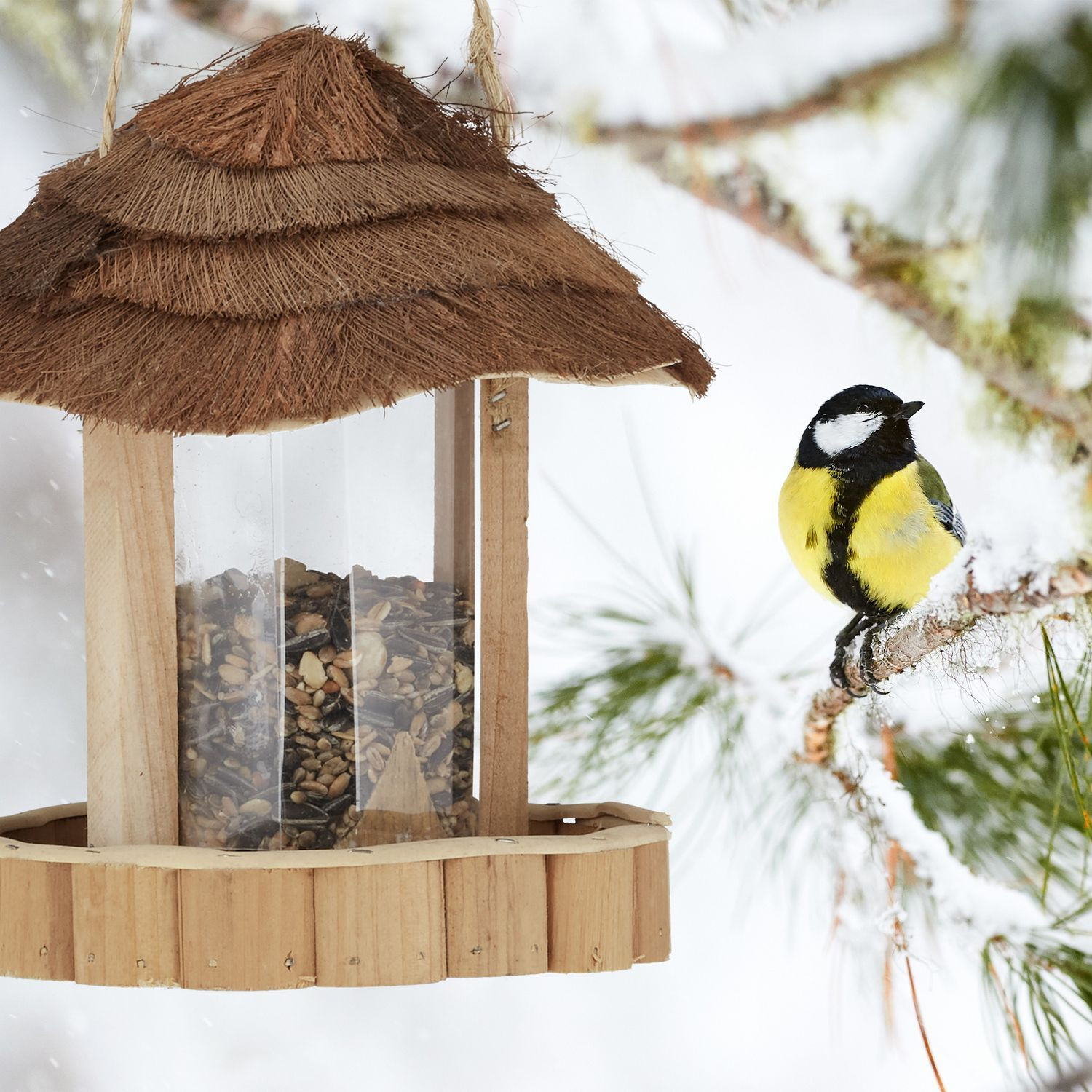 Vogelhäuschen Holz