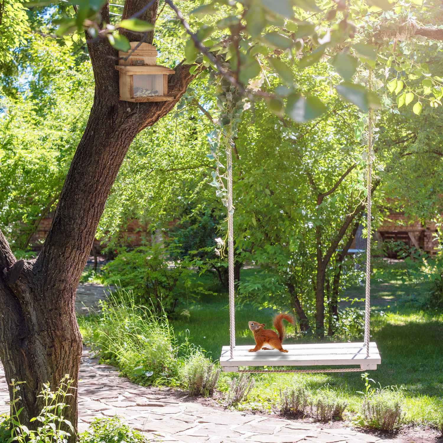 Squirrel feeder - set of 2