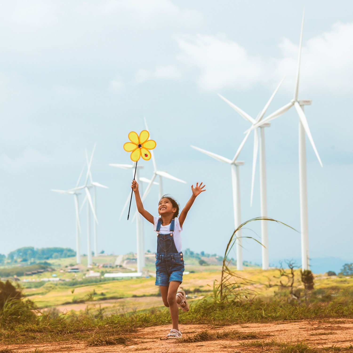 Wind Spinner Blume im Freien