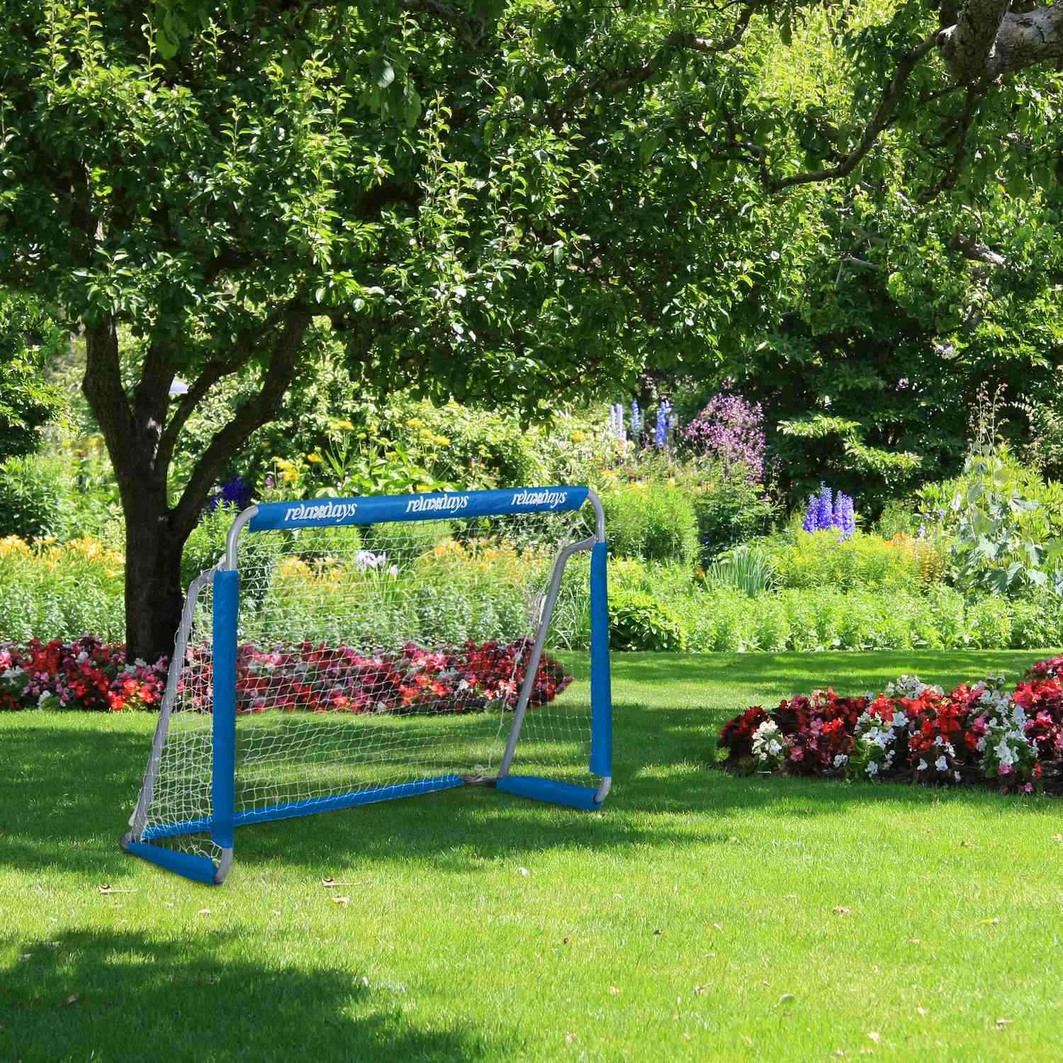 2 porte da calcio blu