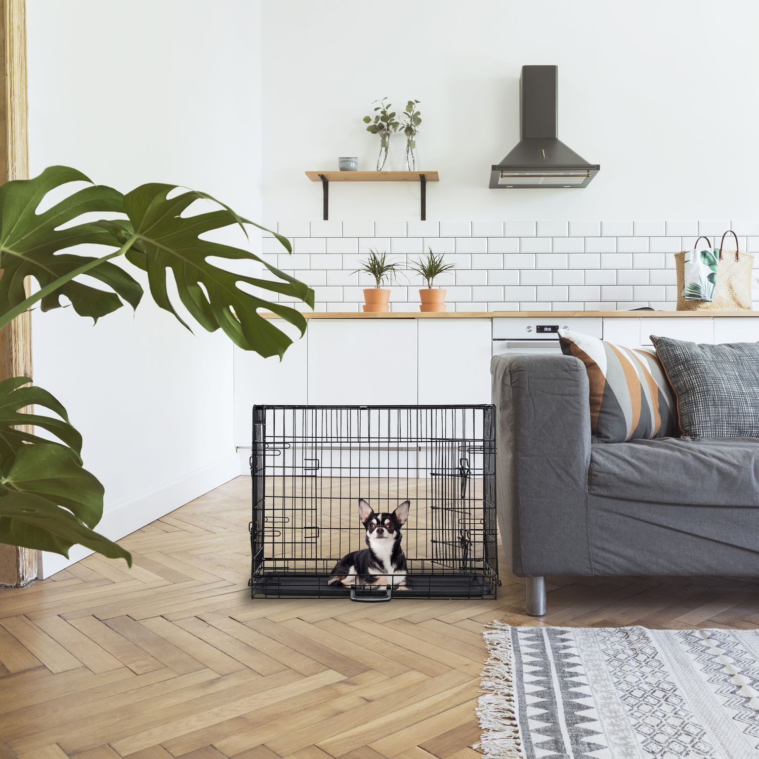 Jaula plegable para perros