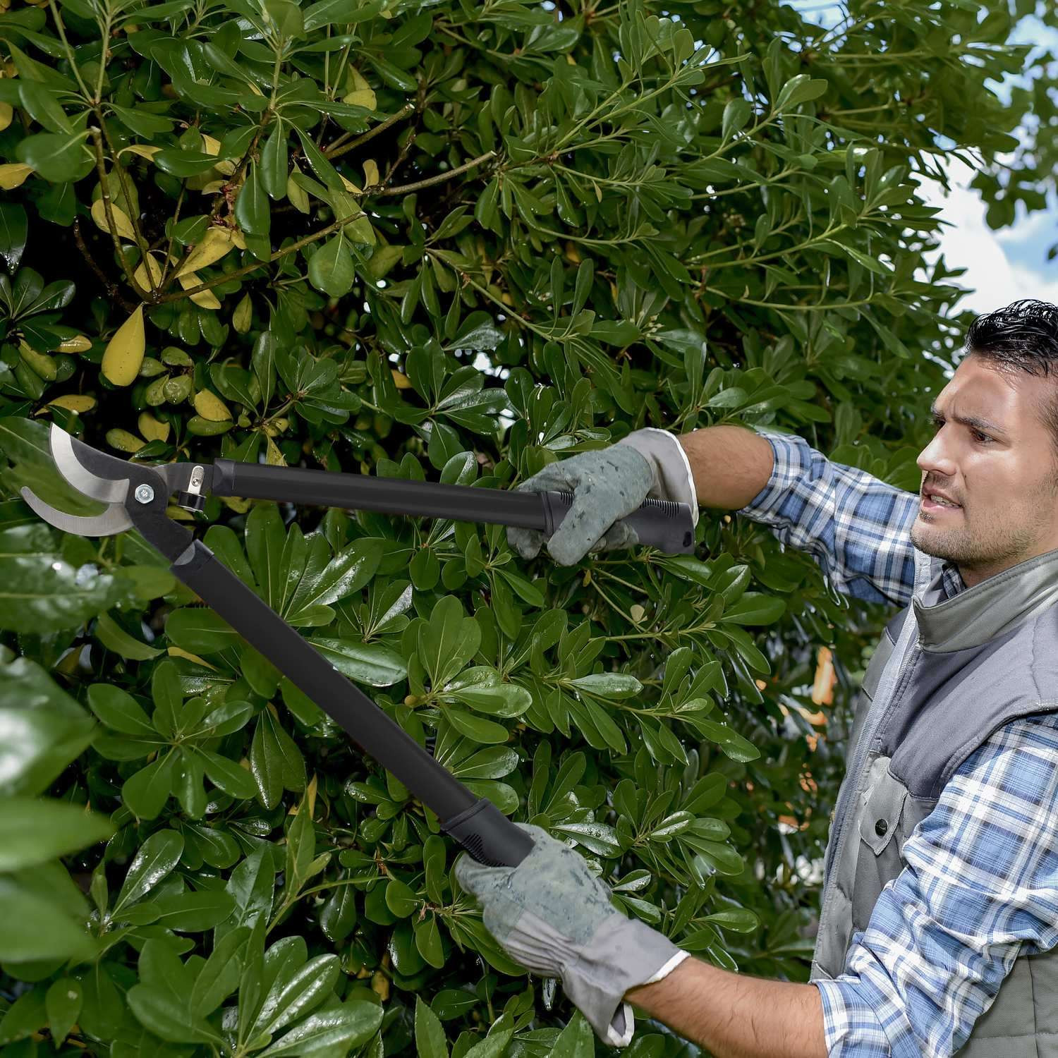 Bypass pruning shears in black