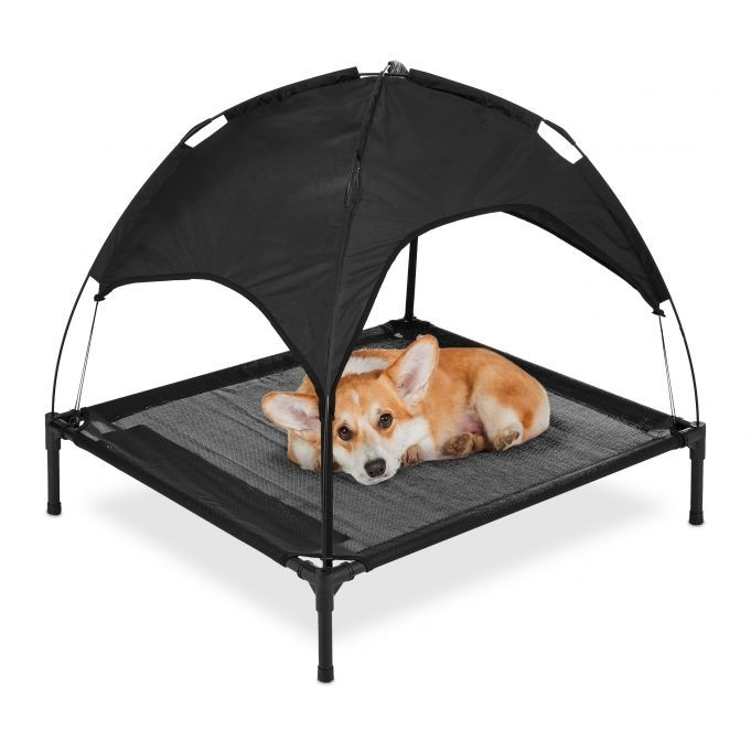 Cadeira para cachorro com capa